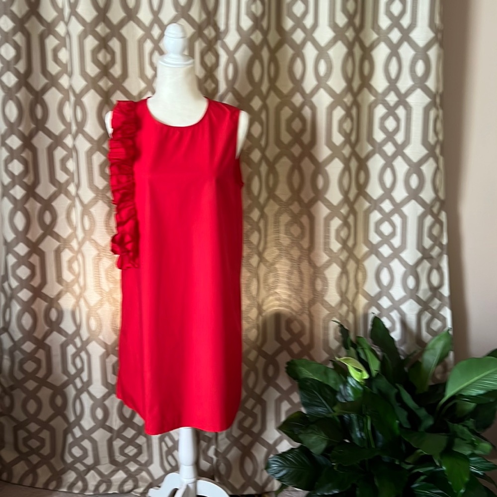Chepe.poplin dress!